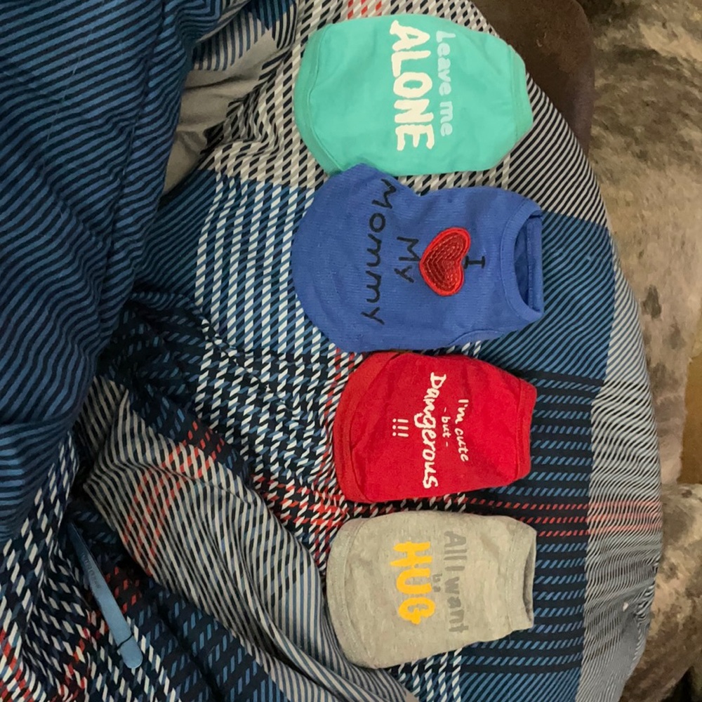 Set of doggie outfits